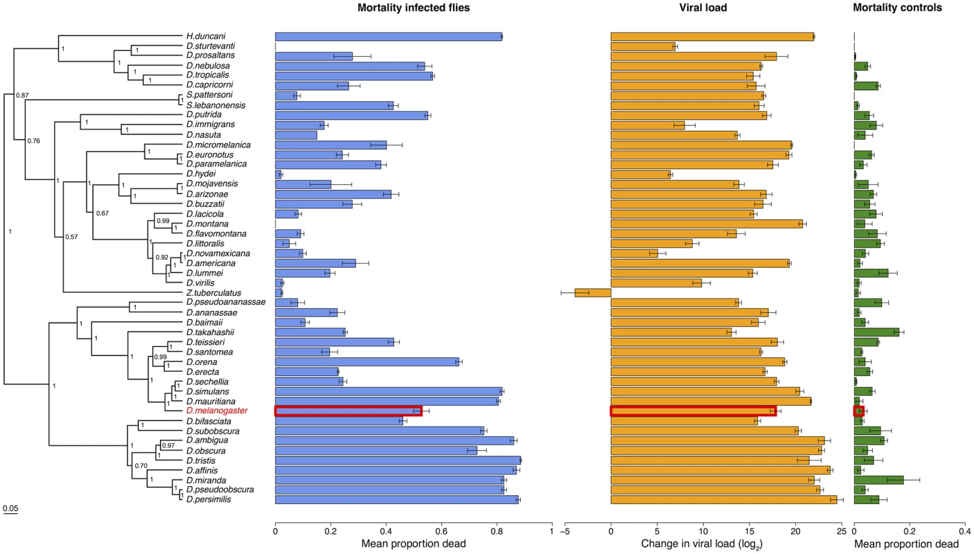 Phylogeny of host species, virulence and viral load.