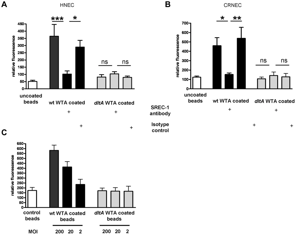 Impact of SREC-I on WTA-mediated adhesion to HNECs and CRNECs.