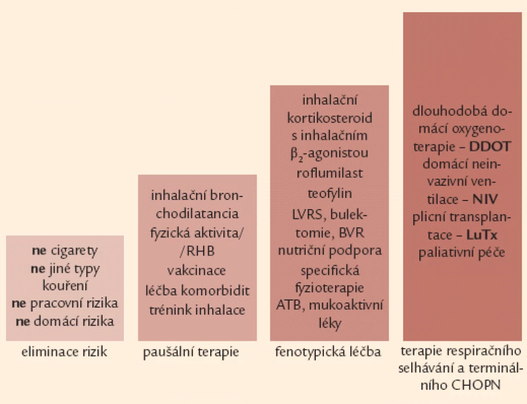 Čtyřstupňové schéma terapie CHOPN – rozšířená verze.
ATB – antibiotika, BVR – bronchoskopická volum-redukce, DDOT – dlouhodobá domácí oxygenoterapie, LuTx – plicní transplantace, LVRS – chirurgická volum-redukce, NIV – neinvazivní ventilační podpora, RHB – plicní rehabilitace