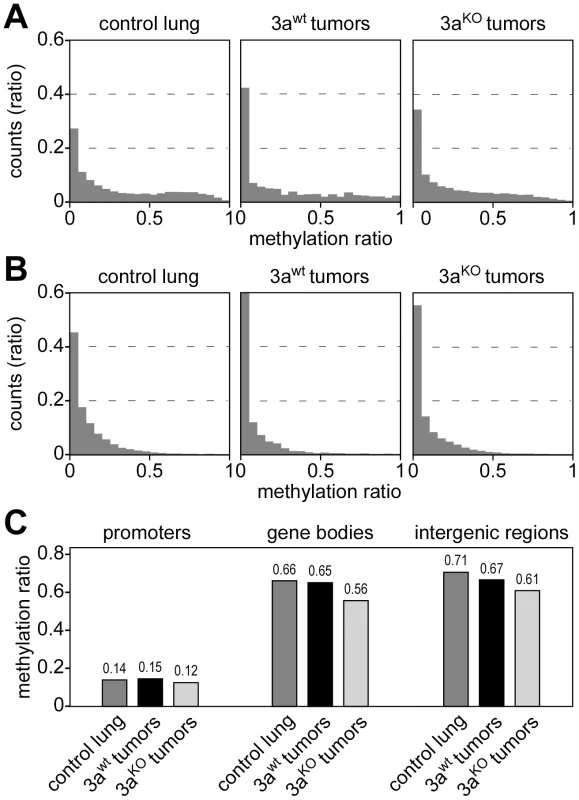 DNA methylation analysis of genetic subregions.