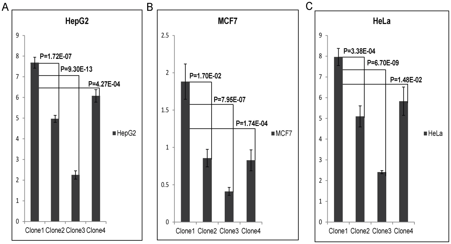 Luciferase expression assay of upstream SNPs of PARK2 gene (rs9365492 (T/C) and rs9355403 (G/A)): C &amp; A respectively represent risk allele for the SNP.