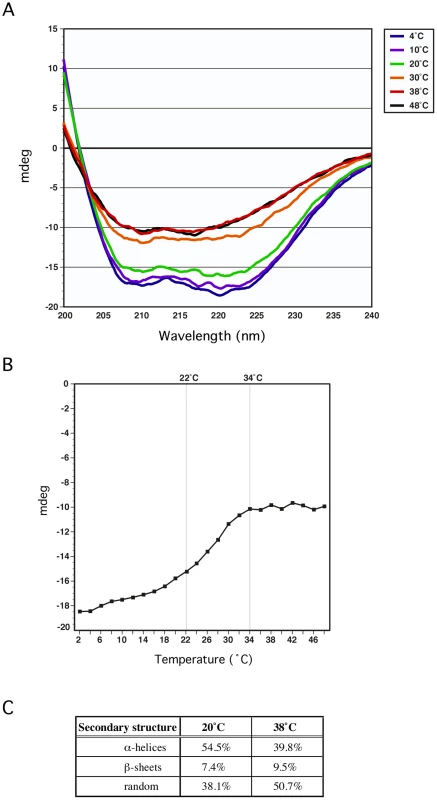 GmaR undergoes a temperature-dependent conformational change.