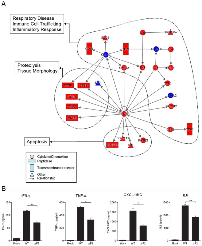 Gene network analysis.