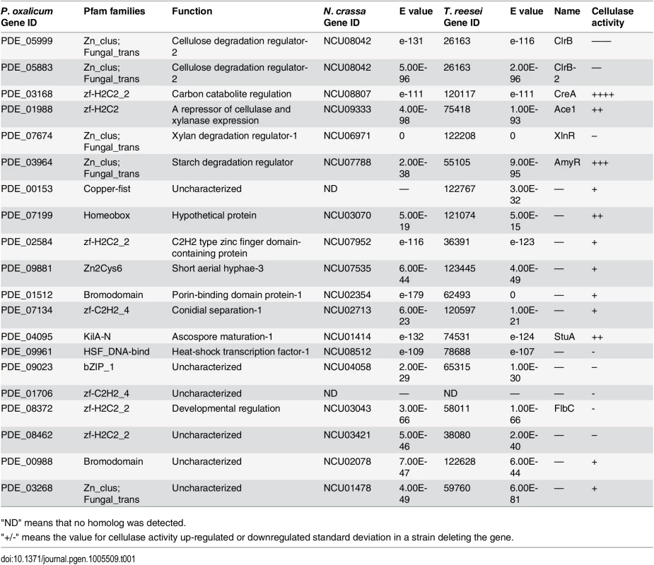 Transcription factor genes affecting cellulase and xylanase production.