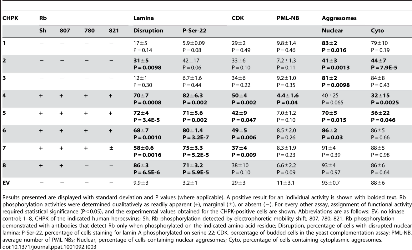 Summary of CHPK activities analyzed in this study.