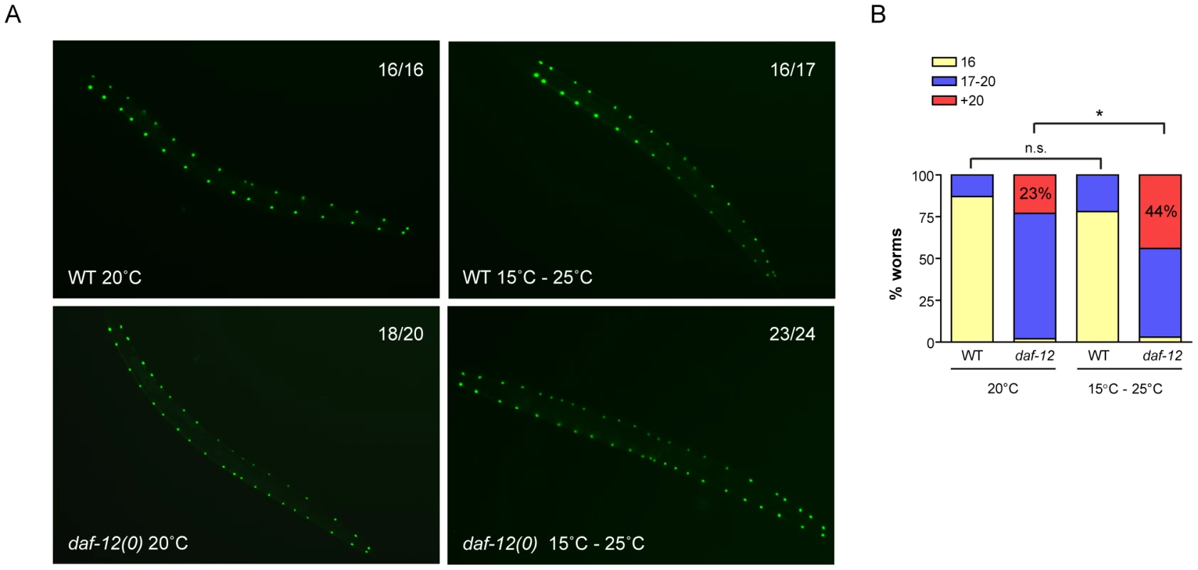 DAF-12 acts as a phenotypic capacitor in worms.
