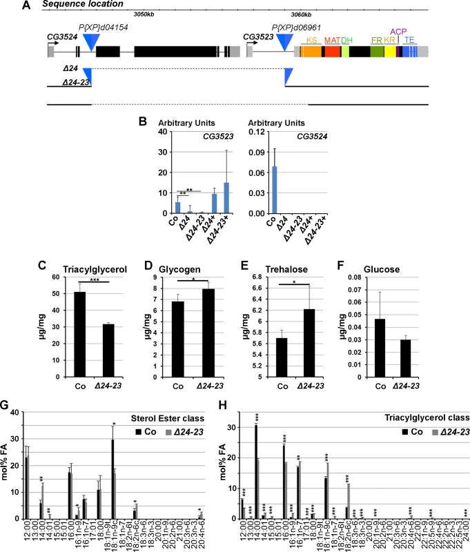 Characterization of <i>FASN</i> mutants.