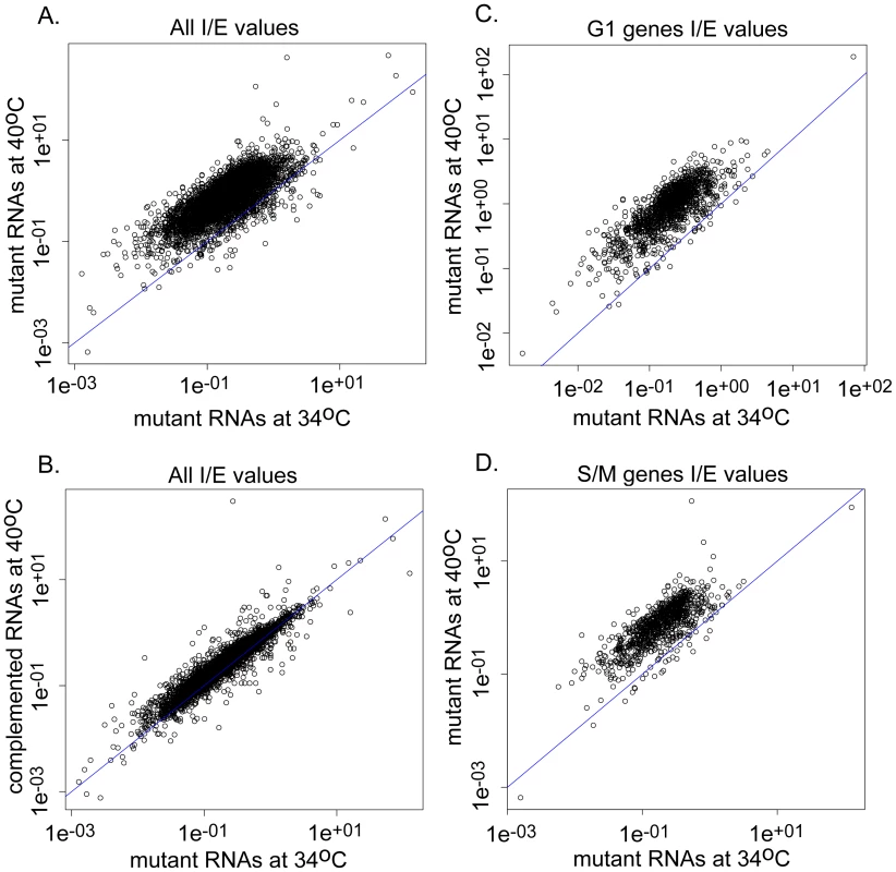 Splicing defects in TgRRM1 null parasites occur across the parasite transcriptome.
