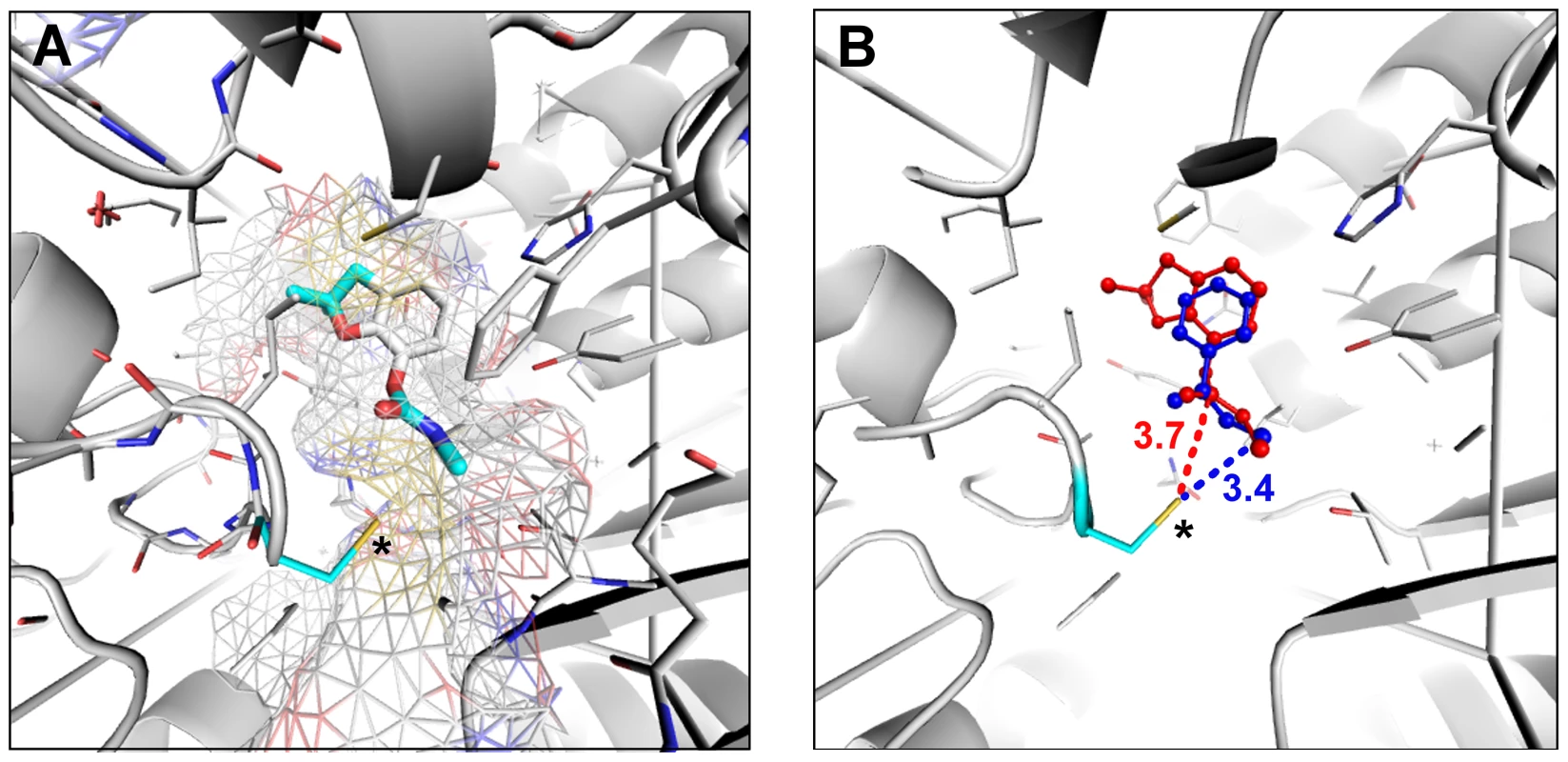 Carbofuran might be an <i>Aldh-III</i> inhibitor.