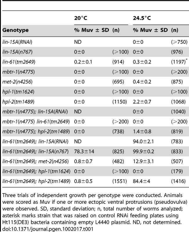 Genetic interaction of lin-61 with other factors in causing Muv phenotype.