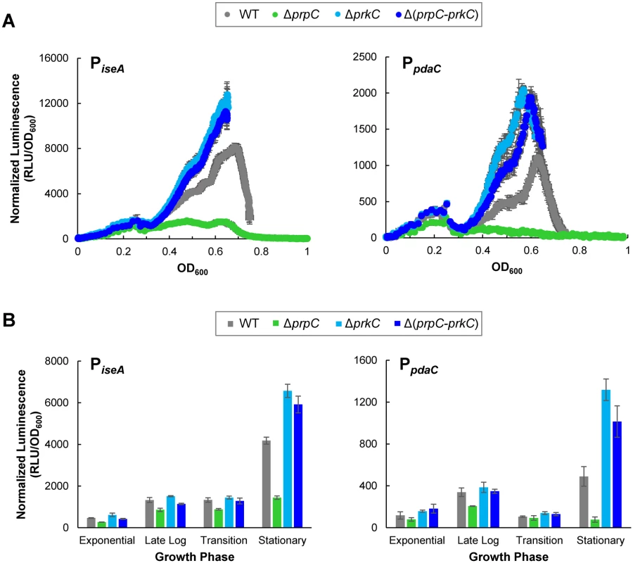 The PrkC kinase and the PrpC phosphatase regulate the WalR regulon genes <i>iseA</i> and <i>pdaC</i>.