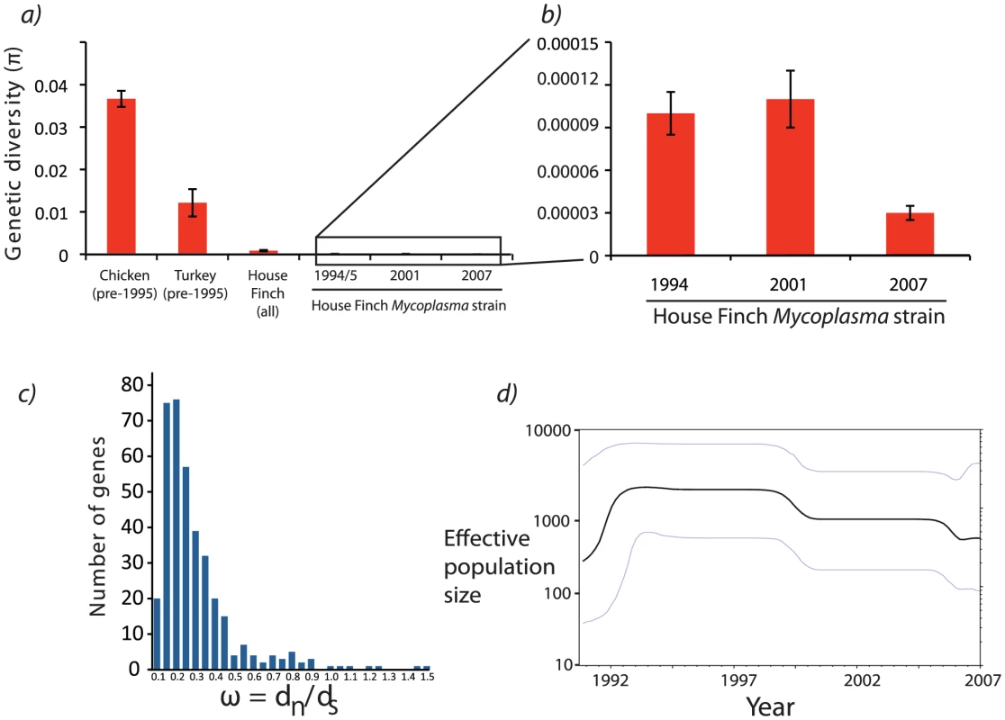 Patterns of polymorphism among <i>Mycoplasma gallisepticum</i> isolates collected from House Finches.