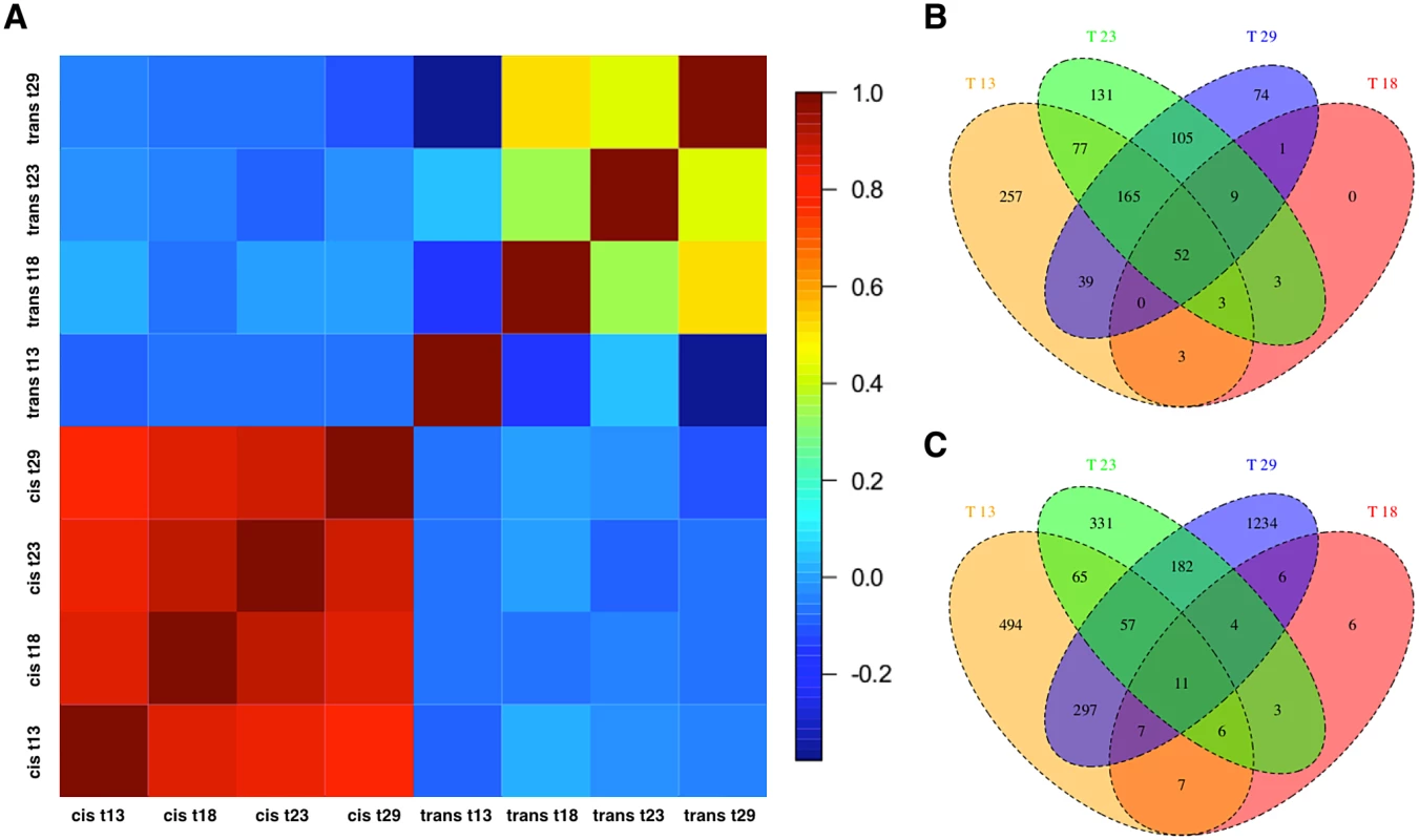 Temperature dependence of <i>cis</i>- and <i>trans</i>-regulatory differences.