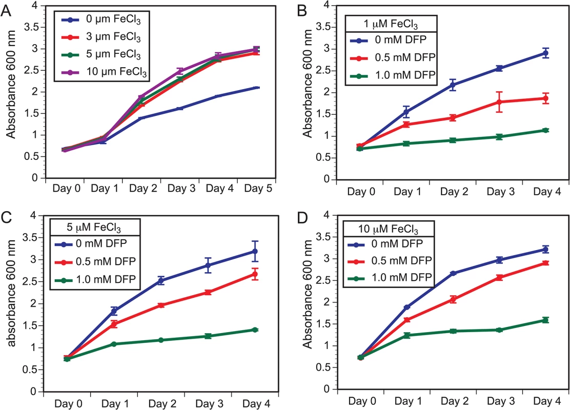 Growth of <i>B</i>. <i>dermatitidis</i> yeast is influenced by exogenous iron.