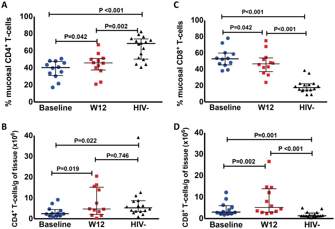 Administration of r-hIL-7 leads to increases in gut mucosal T-cells.