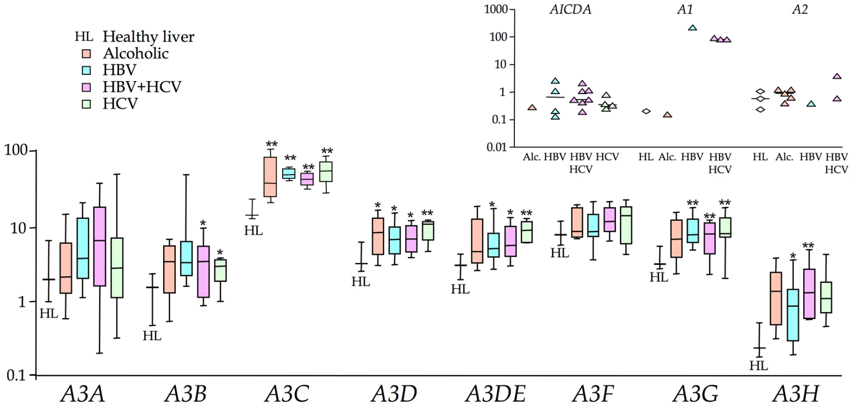 Transcription profiling of all 11 human cytidine deaminases in cirrhosis.