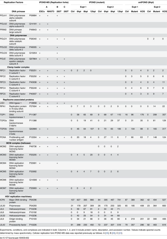 Replication factors identified by iPOND and aniPOND.