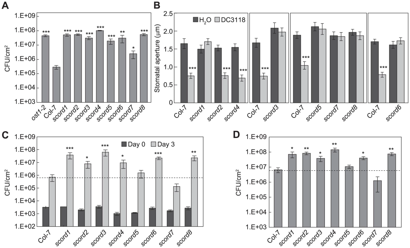 Characterization of <i>scord</i> mutants.