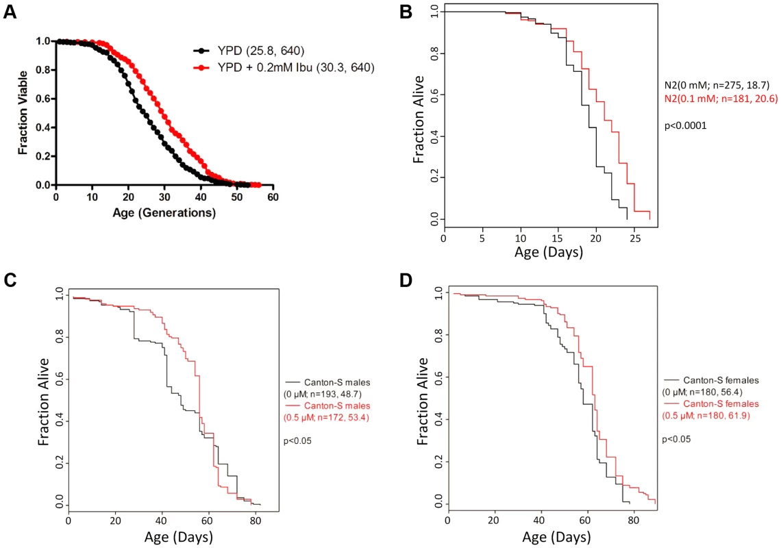 Ibuprofen extends the lifespan of <i>S. cerevisiae</i>, <i>C. elegans</i> and <i>D. melanogaster</i>.