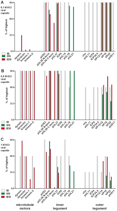 Characterization of tegumented, viral HSV1 capsids.