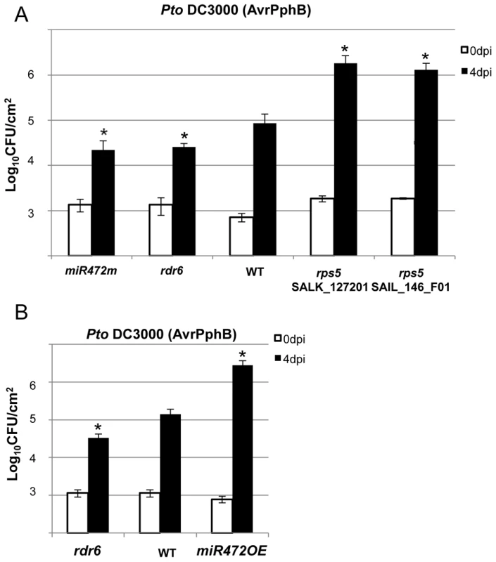 <i>MiR472</i><sup>m</sup> and <i>rdr6</i> are more resistant to <i>Pto</i> DC3000 (AvrPphB).