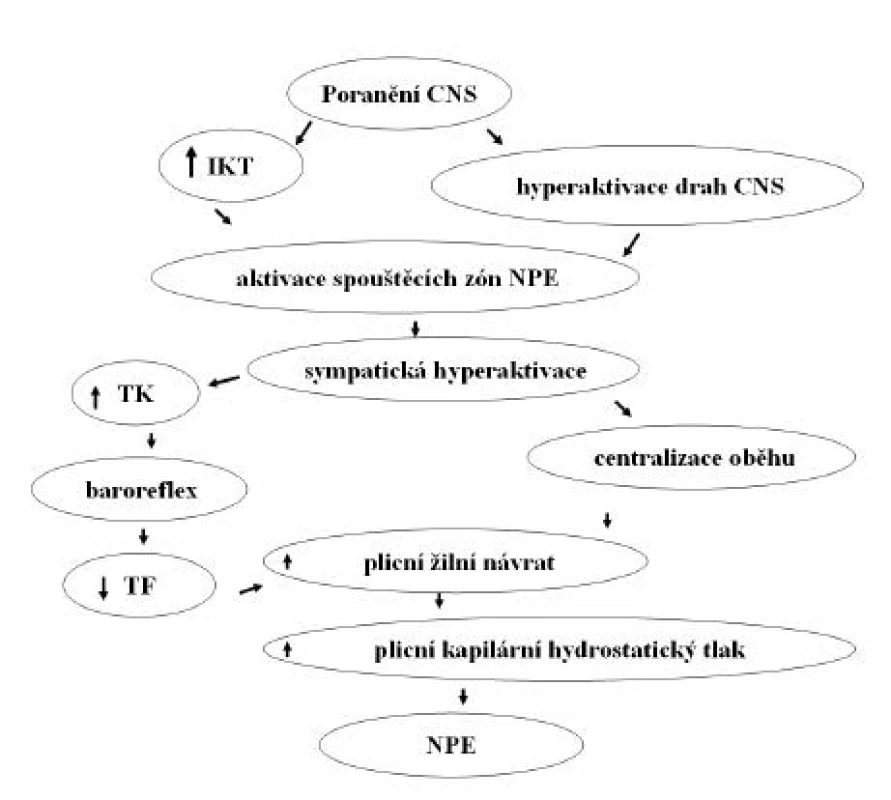 Předpokládaný mechanismus rozvoje neurogenního plicního edému