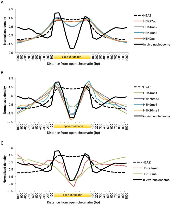 Histone modifications and H2A.Z occupancy across open chromatin in human.