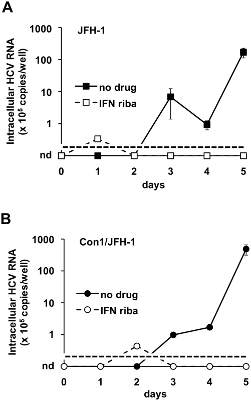 JFH-1-based HCV produced in BHK-WNV cells infect Huh-7.5 cells.