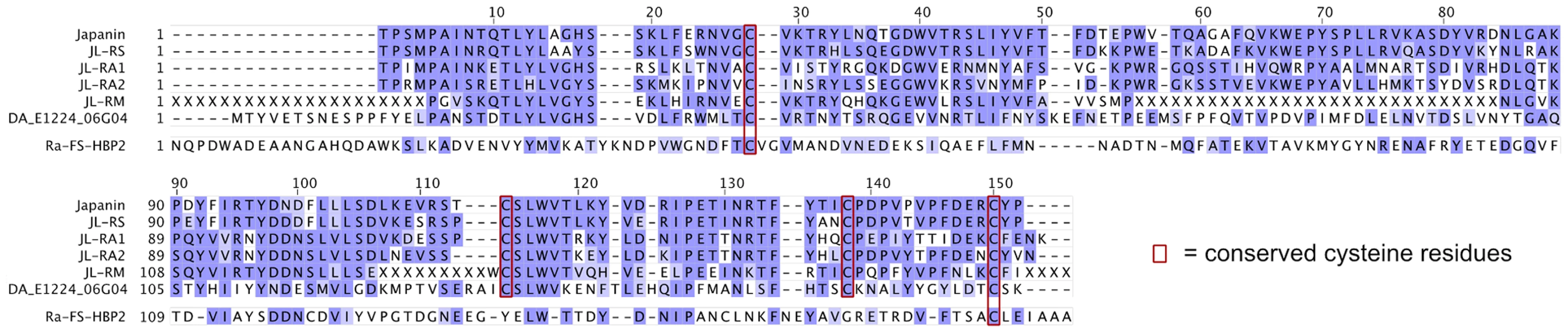 Sequence alignment of Japanin and its homologues.