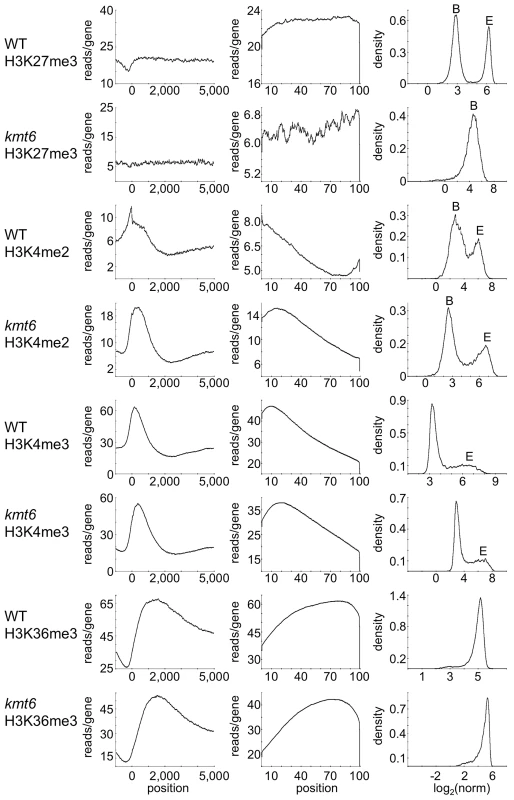 Distribution of histone modifications across the complete set of <i>F. graminearum</i> genes.