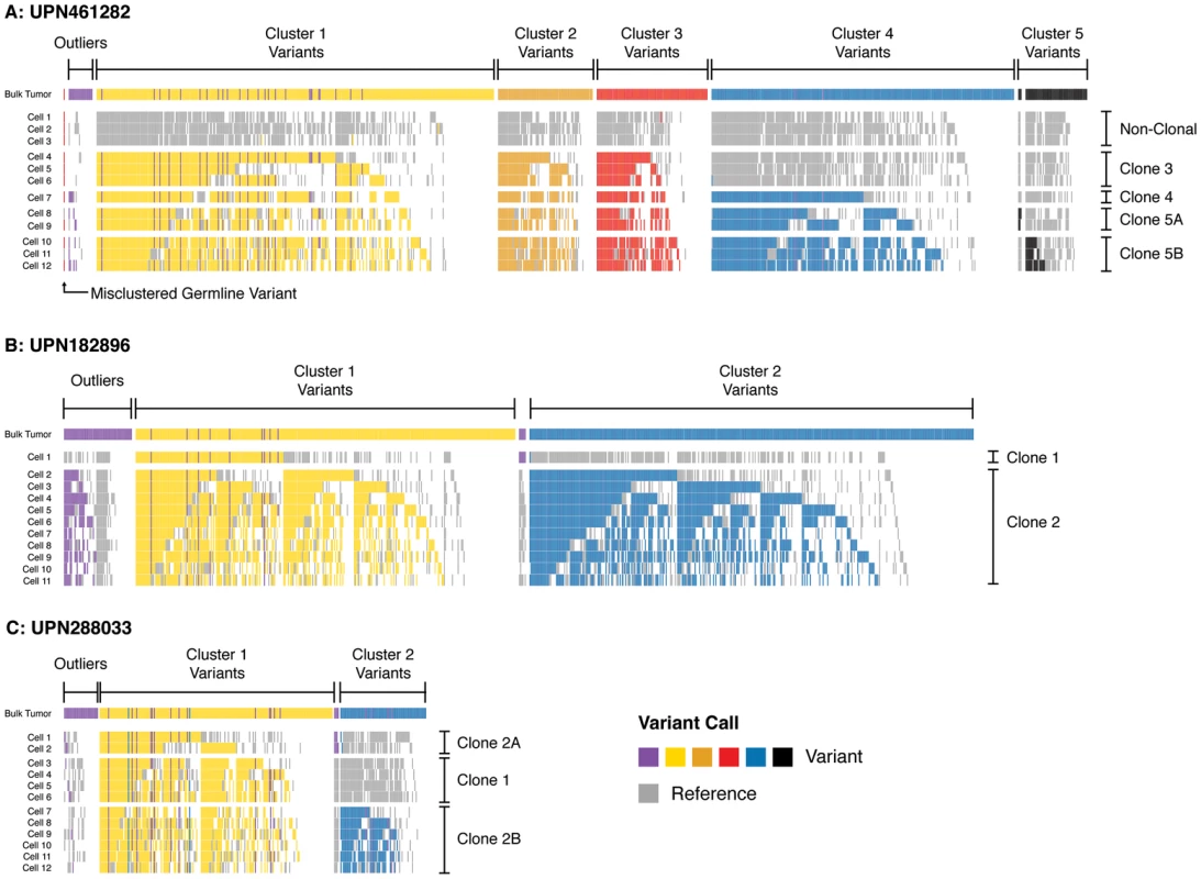 Single-cell mutation profiles.