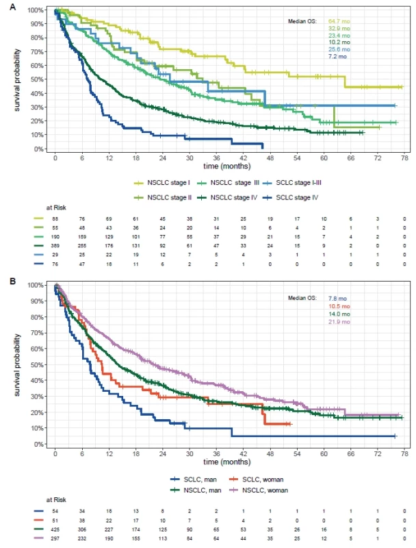 Kaplan–Meier estimates of overall survival according to histological subtypes and disease stage (A) or sex (B).