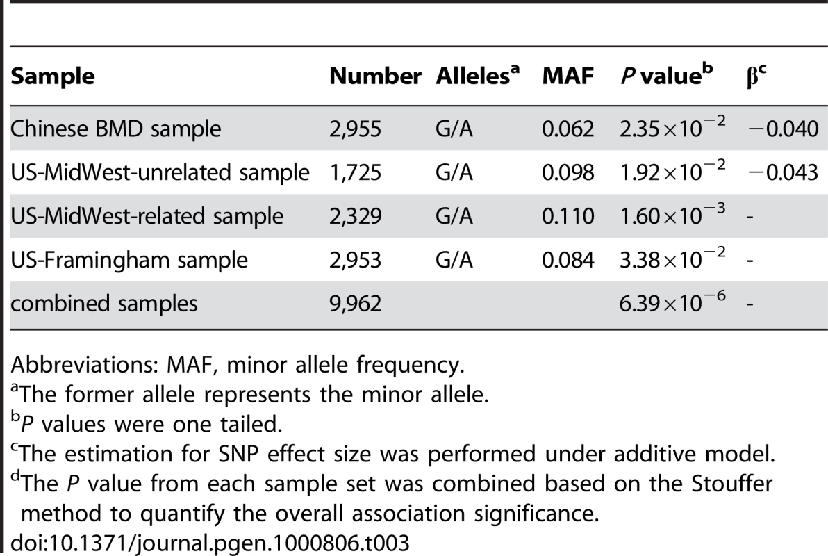 BMD validation association results for rs13182402.