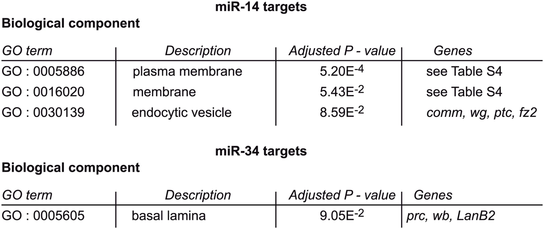 Plasma membrane signaling might be involved in miRNA-dependent TE repression.