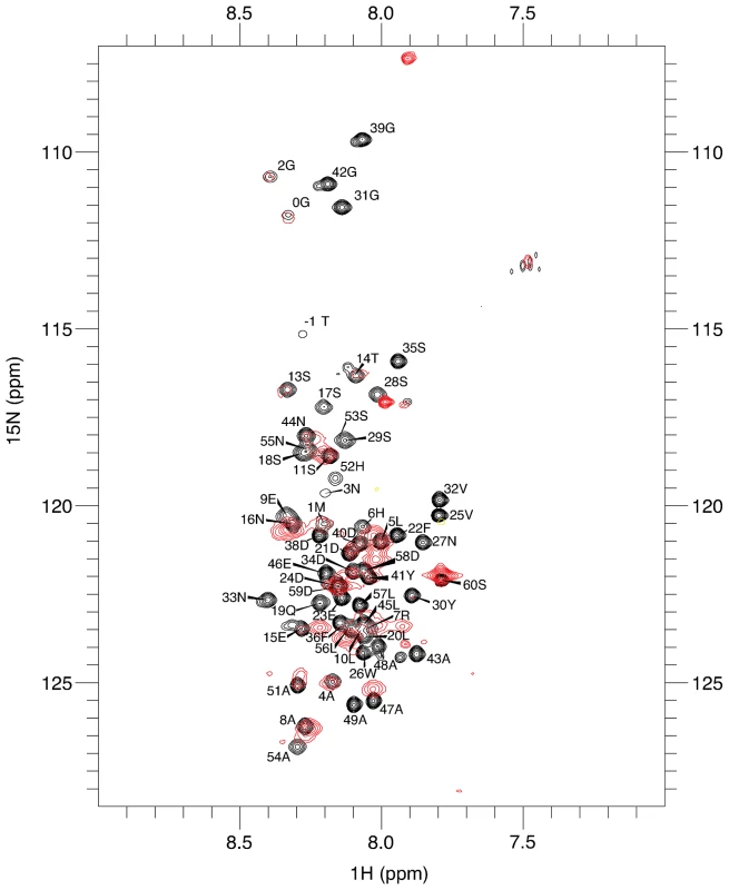 Residues 14–43 of DARC contain the minimal binding region.