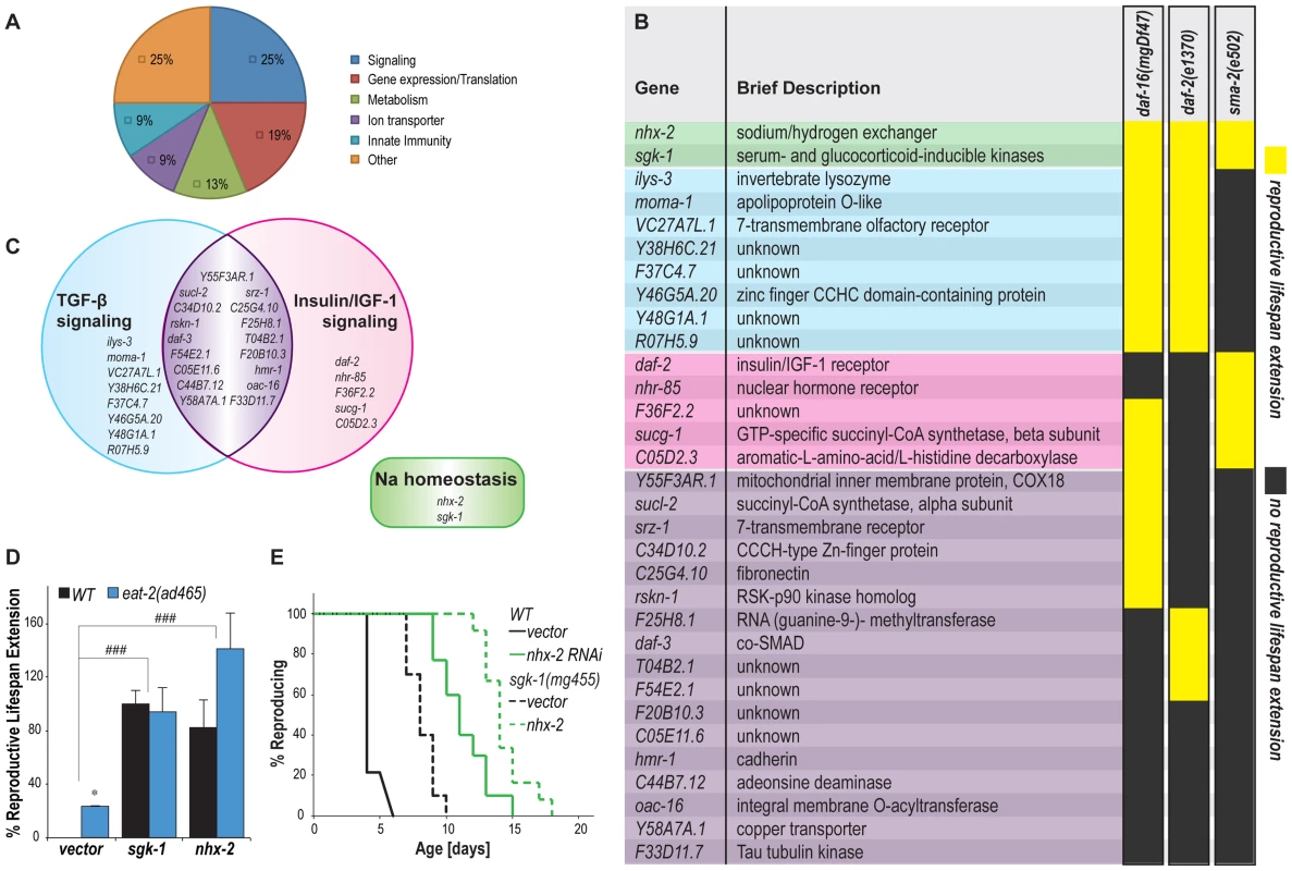 Functional classification of reproductive longevity regulatory genes.