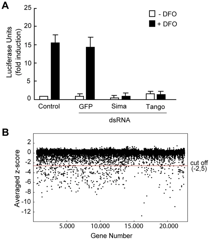 Primary screen for genes required for HIF–dependent transcription.