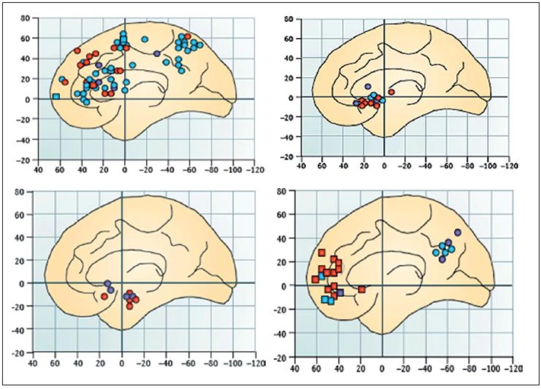 Metaanalýza studií funkční magnetickou resonancí u dospívajících provedených v letech 2001–2011 vypovídá o rozsáhlých proměnách stavby a činnosti mozku adolescentních jedinců (13).
A – frontoparietální a cingulární kůra, aktivace v průběhu zátěže pracovní paměti, inhibice, tlumení interference a „přepínání“ úloh
B – striatum při úlohách cílených na aktivaci odměnou
C – aktivace striata a amygdaly při testech užívajících jako podnět lidské tváře
D – přední vnitřní prefrontální kůra a kůra na hranicích spánkového a temenního laloku při úlohách zatěžujících sociální poznávání
Čísla odpovídají souřadnicím Montrealského neurologického institutu. Řez ve střední sagitální rovině.
Kroužky odpovídají aktivaci ventrální a zevní prefrontální kůry, kůry rýhy mezi horním a středním čelním závitem a frontálních očních polí.
Čtverečky odpovídají aktivacím vnitřní prefrontální kůry.
Modré kroužky a čtverečky odpovídají růstu aktivace v průběhu dospívání.
Červené kroužky a čtverečky odpovídají poklesu aktivace v průběhu dospívání.
Fialové kroužky a čtverečky odpovídají přechodné fázi mezi dospíváním a dospělostí.