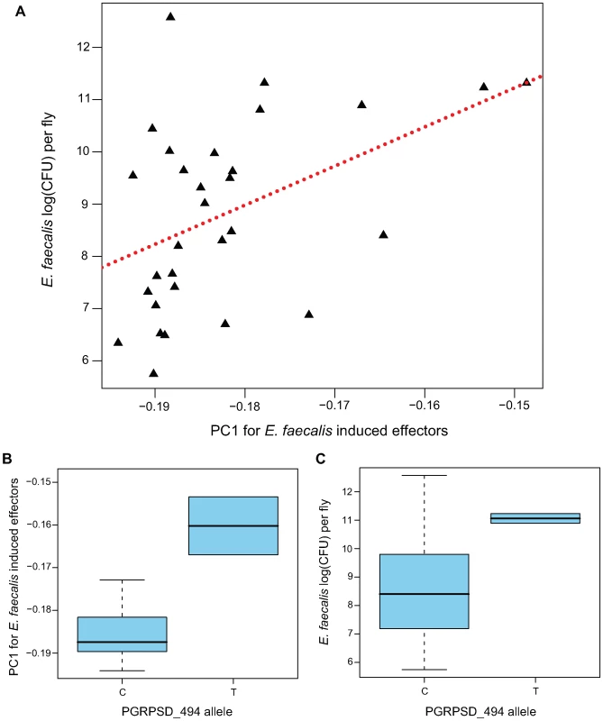 Genotype→gene expression→phenotype associations between PGRPSD_494 allele, Ef-induced expression of effectors, and <i>E. faecalis</i> bacterial load.