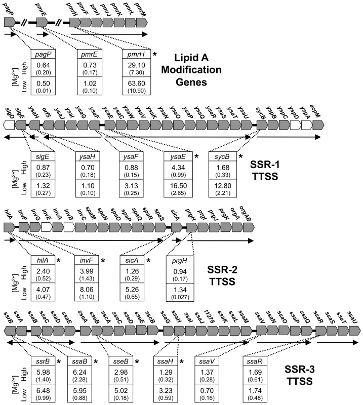 Quantitative PCR analysis of transcripts derived from genes involved in lipid A modifications in <i>S. glossinidius</i>.