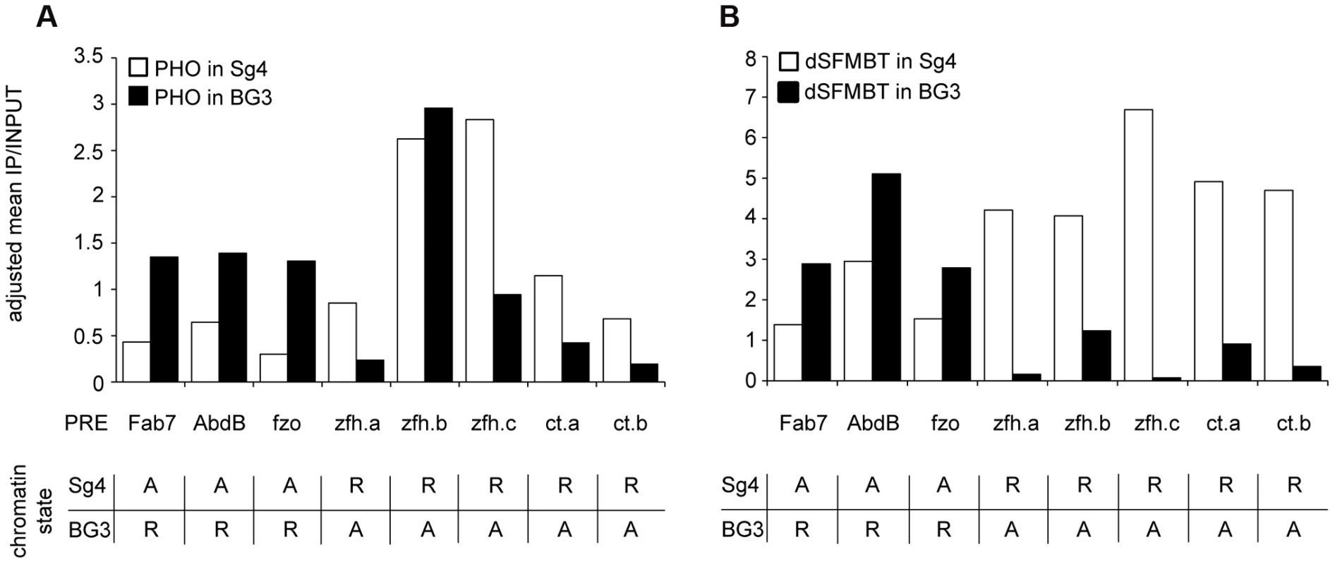 The binding of PHO and dSFMBT to PREs in the active state is significantly reduced.