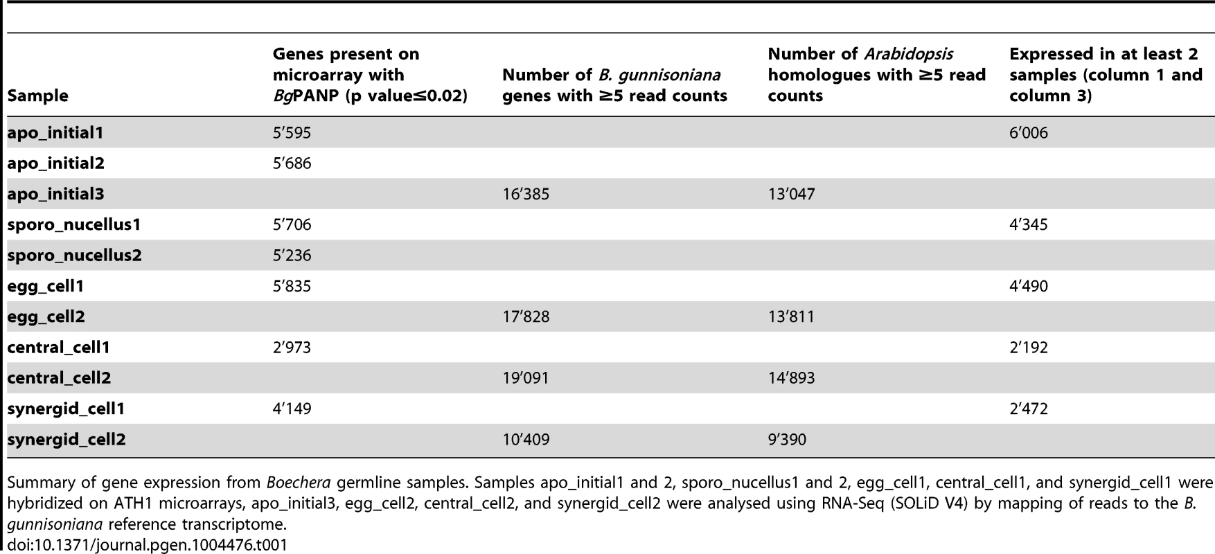 Transcriptome analysis of 11 samples from apomictic <i>Boechera</i> isolated by LAM.