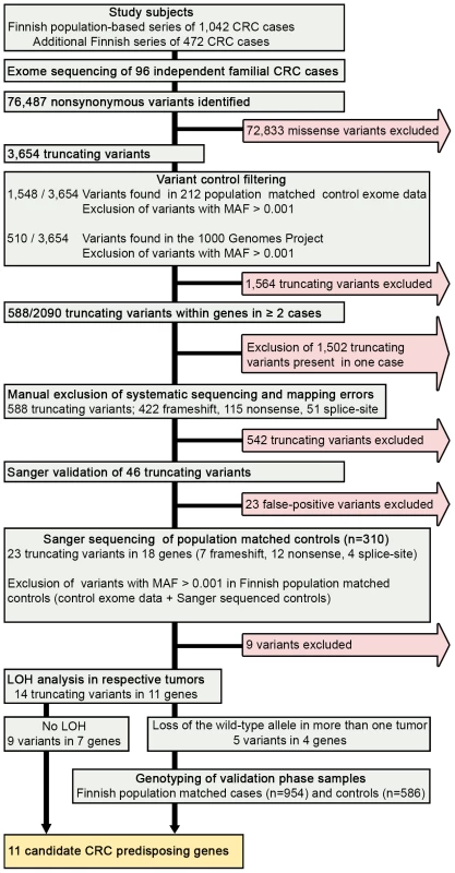 Schematic representation of the overall study design.