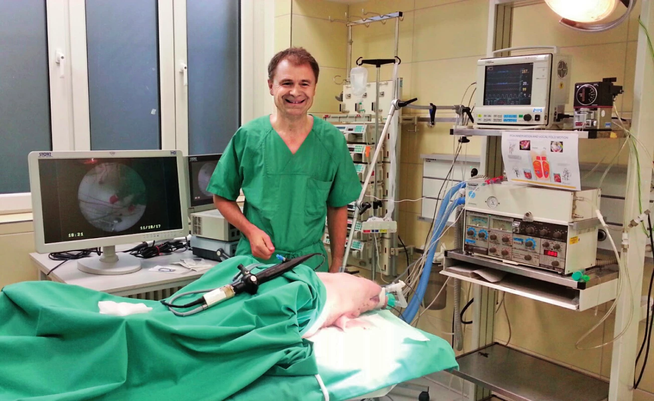 Příprava zvířete na elektromyografii hrtanu.