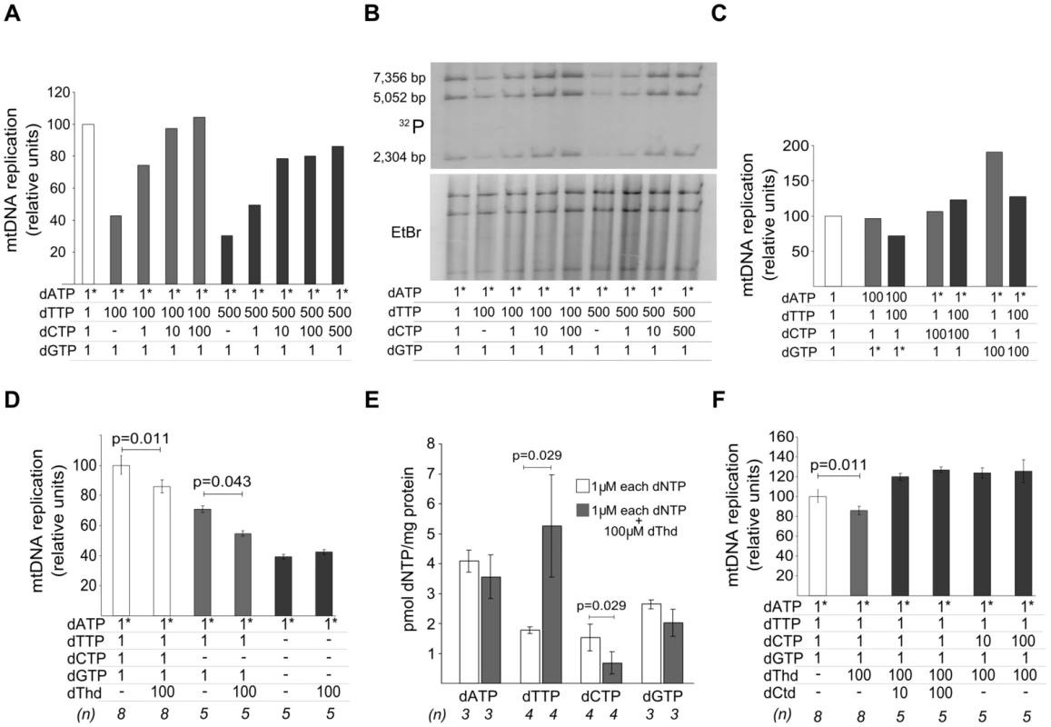 dTTP- and thymidine-induced decrease in mtDNA replication is prevented by dCTP supplementation.
