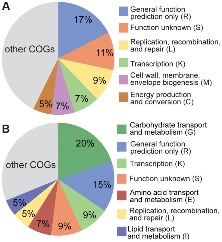 Functional classification of the accessory genes of (A) S. <i>alvi</i> SAGs and (B) <i>G. apicola</i> SAGs based on COG categories.