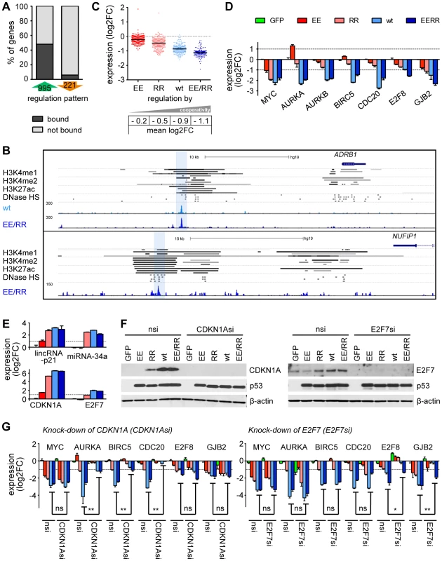 p53-dependent gene repression requires high DNA binding cooperativity.