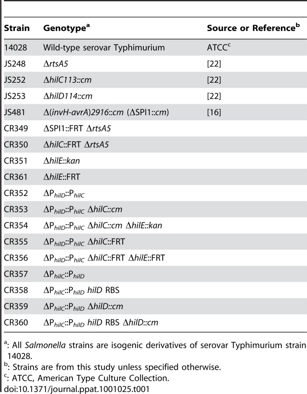 List of strains used in this study.
