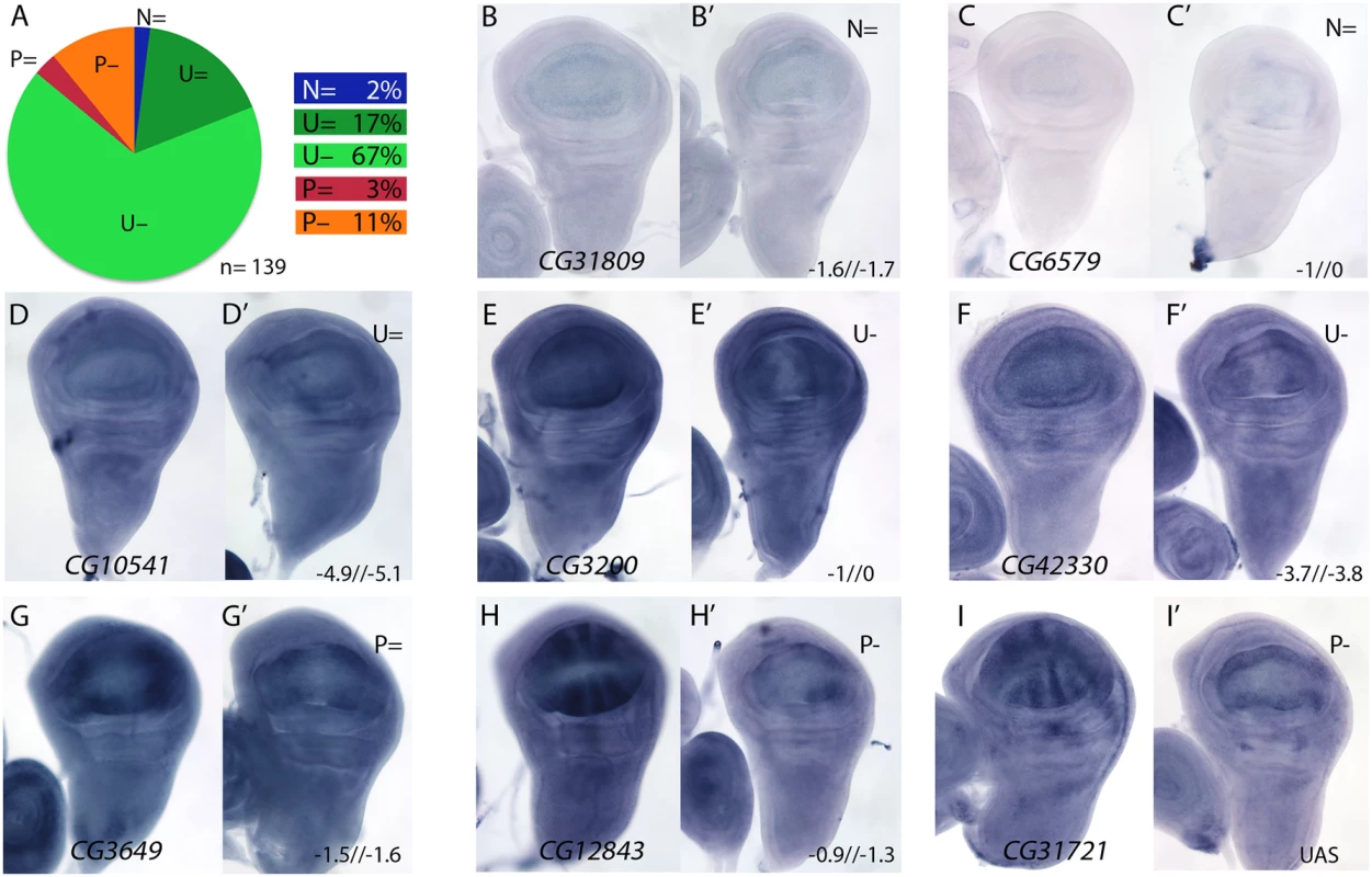 Examples of mRNA expression of selected genes with reduced expression in <i>salm-i/salr-i</i> compared to wild type wing discs.
