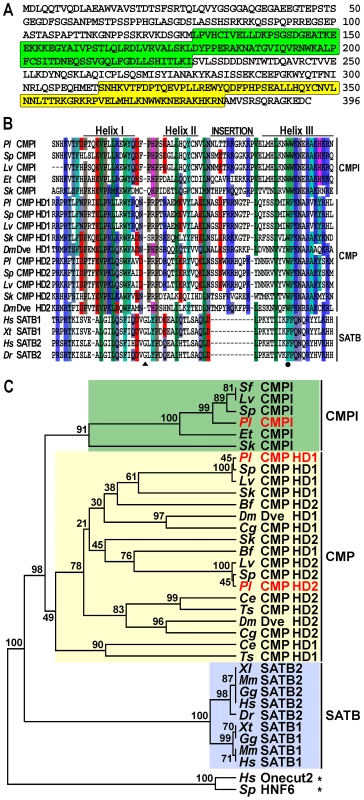 The CMPl protein family.